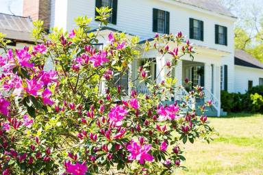 Bed & Breakfast Pet-friendly South Boston