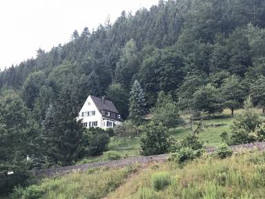 House Internet Ernstmühl