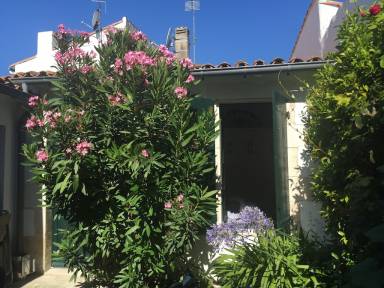 Maison de vacances Rivedoux-Plage