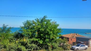 Appartement Chayka