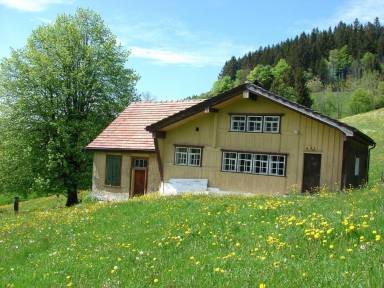 Ferienhaus Kamin Appenzell