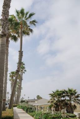 Condo South Oceanside