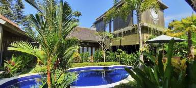 Accommodation Darmasaba