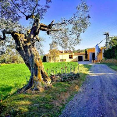 Cottage Figueres