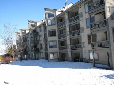 Condo Seven Springs