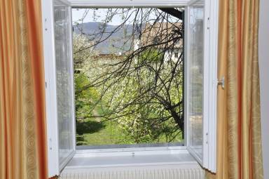 Apartment Balcony Platzl