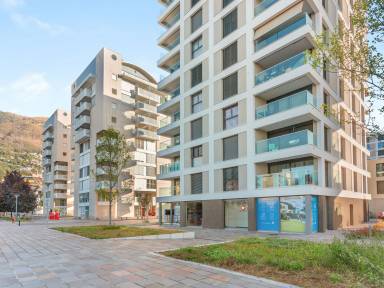 Apartment Orselina