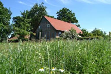 Ferienwohnungen und Unterkünfte in Quakenbrück - HomeToGo