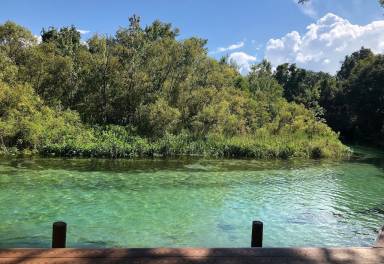House Weeki Wachee
