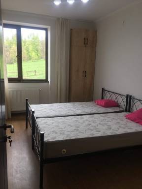 Apartment Pet-friendly Bakuriani