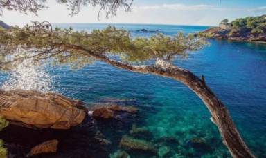 Appartement Martigues