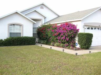 House Poinciana