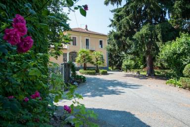 Casa Cucina Canelli