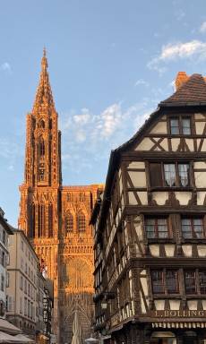 Appartement Strasbourg