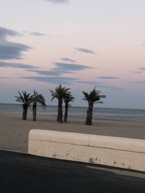 Appartement Narbonne