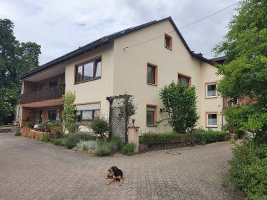 Ferienwohnung Terrasse/Balkon Gunzenhausen