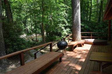 Cabin Elkins