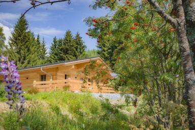 Chalet Sauna Grafenau