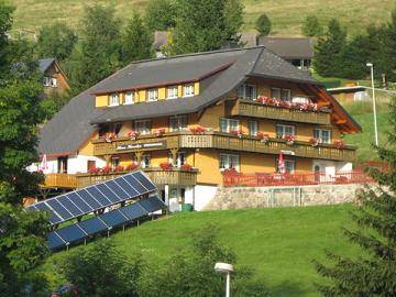 Erholsame Schwarzwaldferien in einem Ferienhaus in Todtnauberg - HomeToGo