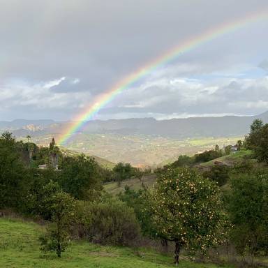House Yard Temecula