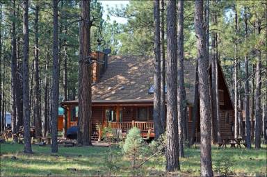 Cabin Pinetop-Lakeside