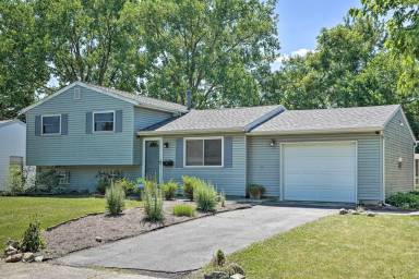 House Holly Hill