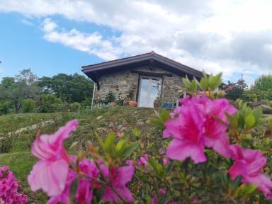 Maison de vacances Ainhoa