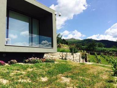 House Santa Cruz do Douro
