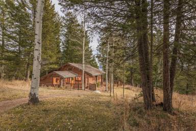 Cabin Wilson