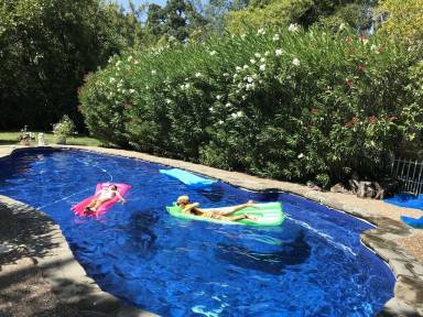 House Pool Fairfax