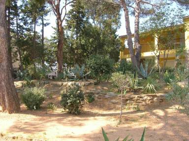 Maison de vacances Bormes-les-Mimosas