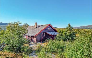 Feriehus Hovden i Setesdal