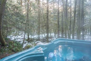 Cabin Welches