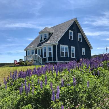 Cottage Trinity