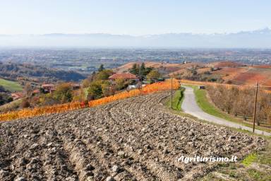 Appartamento Murazzano