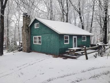 Cabin Fireplace Lake Wallenpaupack