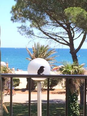 Appartement Argelès-sur-Mer