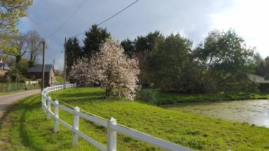 Cottage Brocéliande