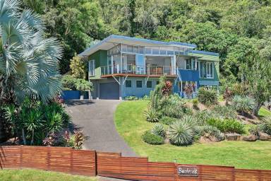 House Palm Cove