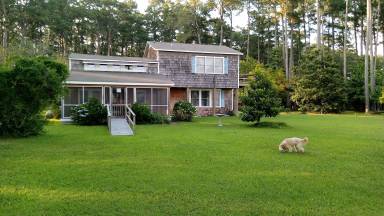 House Harkers Island