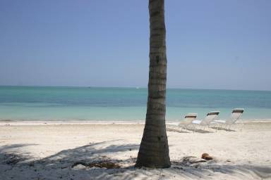Condo Internet Key Colony Beach