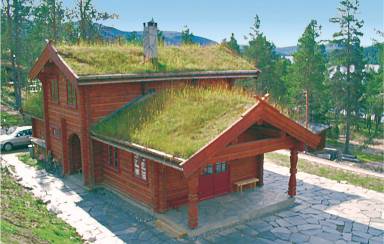 Ferienhaus Tynset