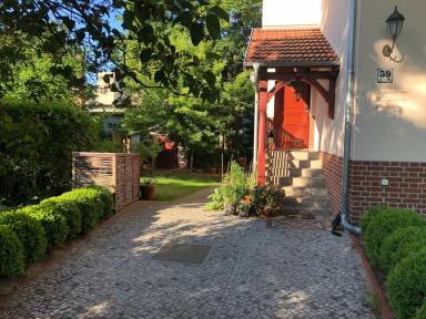 Villa Tuin Berlin-Gesundbrunnen