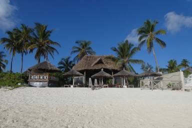 Bed & Breakfast wifi Jambiani