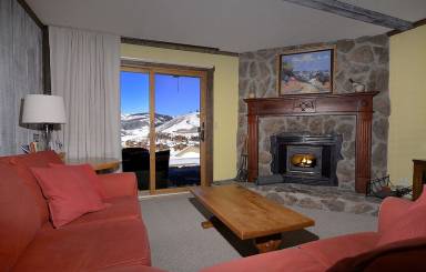 Condo Pet-friendly Mount Crested Butte