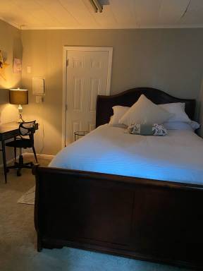 House Pet-friendly Stony Brook