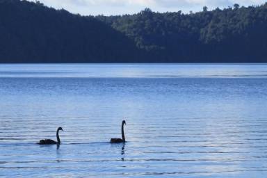 House Rotoiti