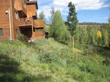 Condo Wildernest