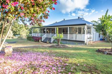 House Pet-friendly Witta