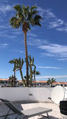Appartamento Terrazza/balcone Playa de la Américas